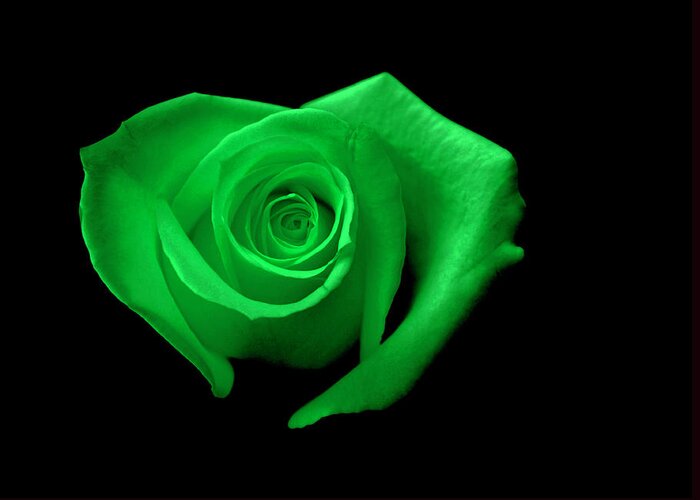 Green Greeting Card featuring the photograph Green Heart-Shaped Rose by Glennis Siverson