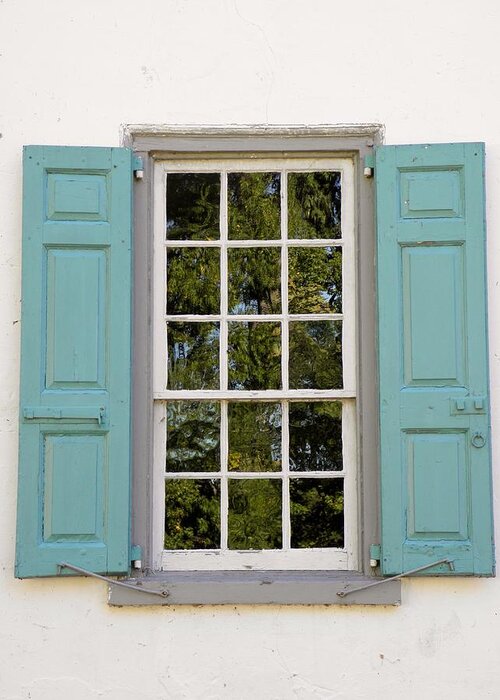 Photograph Greeting Card featuring the photograph Green Leaves-Aqua Shutters by Mary Carol Williams