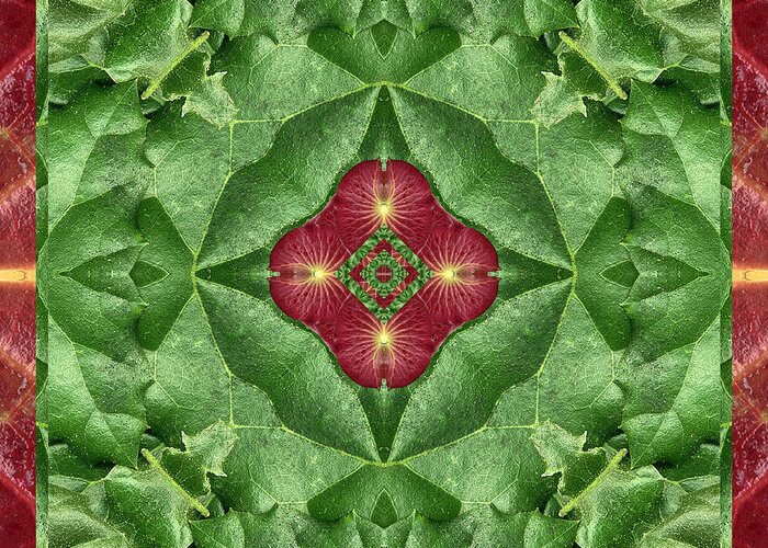 Mandalas Greeting Card featuring the photograph Green Machine by Bell And Todd