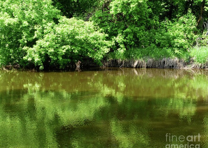 Water Greeting Card featuring the photograph Green Peace by Paula Joy Welter