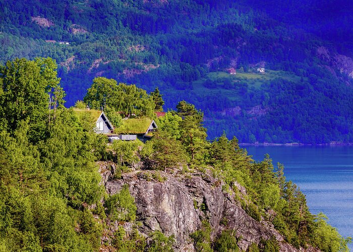 Europe Greeting Card featuring the photograph Green roofs of Lustrafjorden by Dmytro Korol