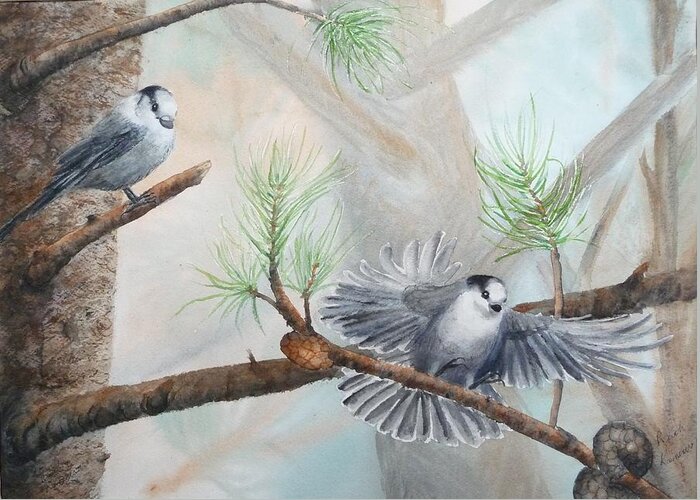 Grey Jay Greeting Card featuring the painting Grey Jays in a Jack Pine by Ruth Kamenev