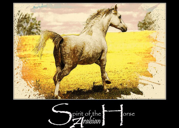 Animal Greeting Card featuring the digital art Grey Mare Galloping by Janice OConnor
