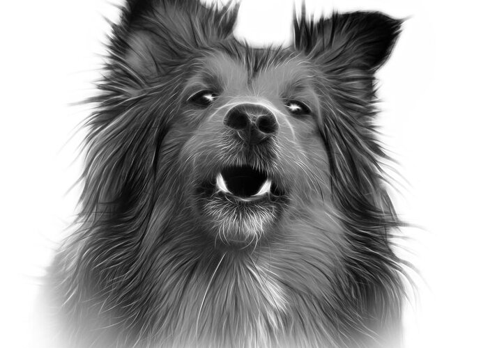 Sheltie Greeting Card featuring the painting Greyscale Sheltie Dog Art 0207 - WB by James Ahn