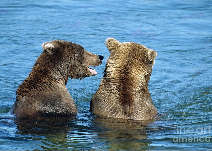 00340360 Greeting Card featuring the photograph Grizzly Bear Talk by Yva Momatiuk and John Eastcott