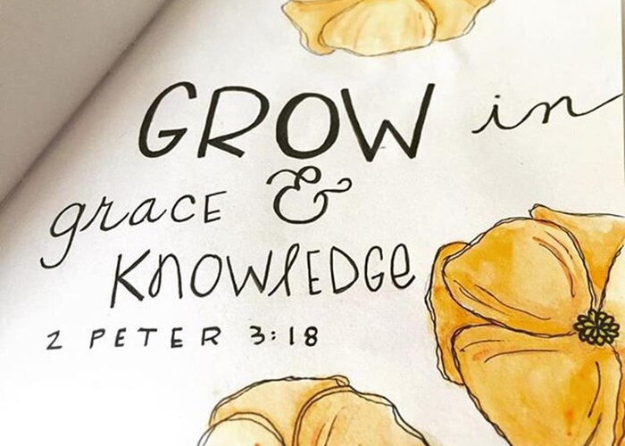 Sketchbook Greeting Card featuring the photograph Grow In Grace And Knowledge by Nancy Ingersoll