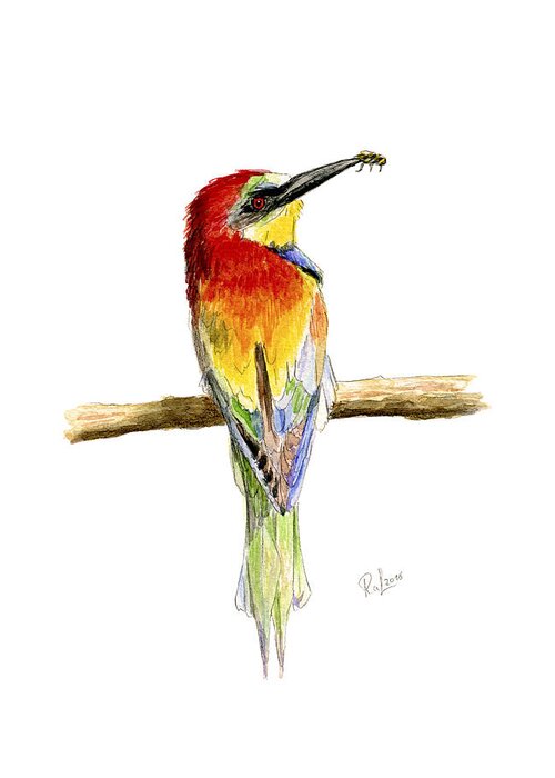 Gruccione Greeting Card featuring the painting Gruccione - Bee eater - Merops apiaster by Raffaella Lunelli