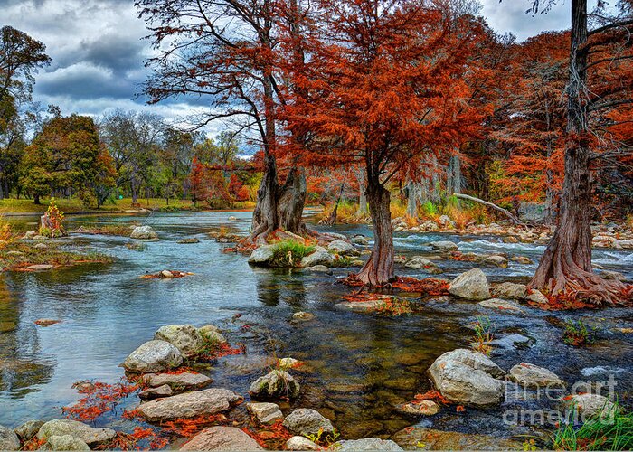 Guadalupe River In Autumn Greeting Card featuring the photograph Guadalupe River in Autumn by Savannah Gibbs