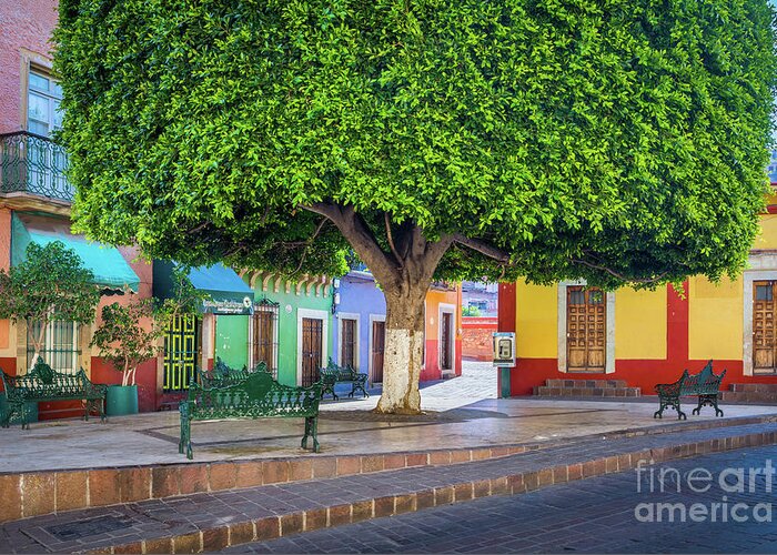 America Greeting Card featuring the photograph Guanajuato Small Park by Inge Johnsson