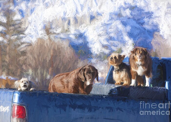 Animals Greeting Card featuring the photograph Guardians of the Truck #1. Ridgeway, Colorado by George Robinson