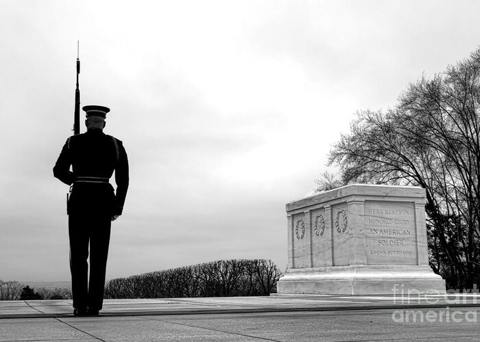 Tomb Greeting Card featuring the photograph Guarding the Unknown Soldier by Olivier Le Queinec
