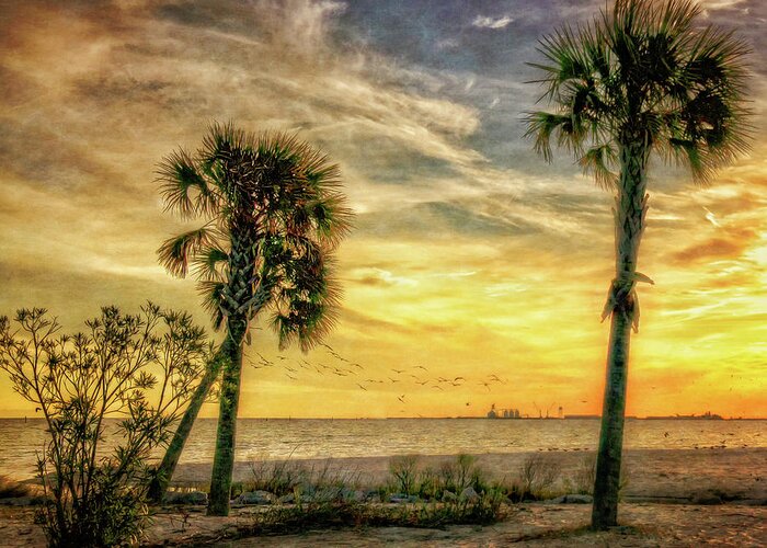 Gulfport Greeting Card featuring the photograph Gulfport Sunset by Sandra Schiffner