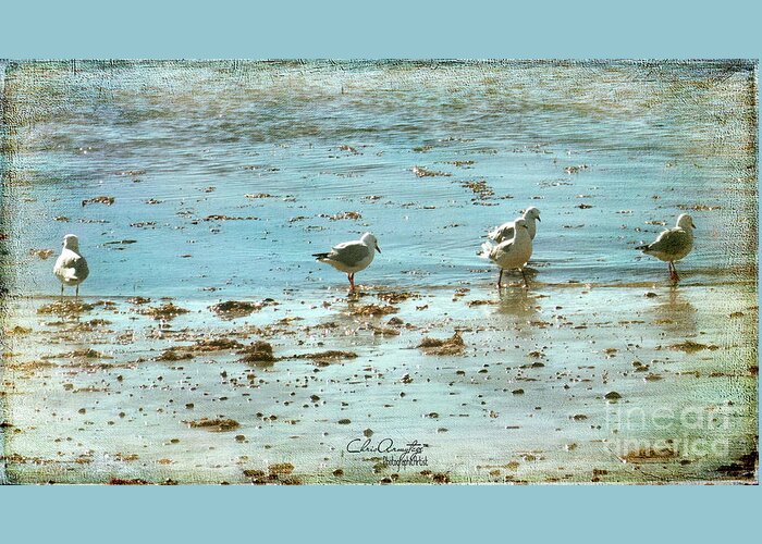 Seagulls Greeting Card featuring the photograph Gulls on the Edge by Chris Armytage