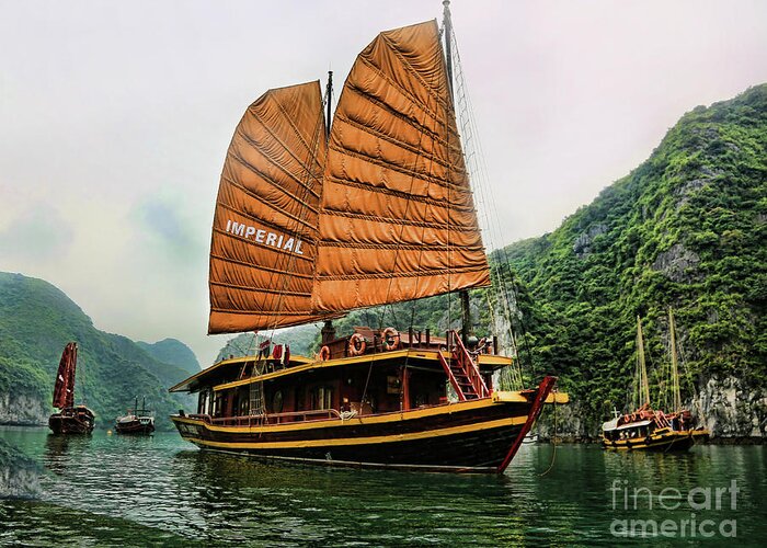 Ha Long Bay Greeting Card featuring the photograph Ha Long Vessel Brown by Chuck Kuhn