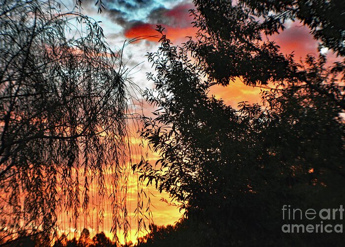 Nature Greeting Card featuring the photograph Halloween Sunrise 2015 by DB Hayes