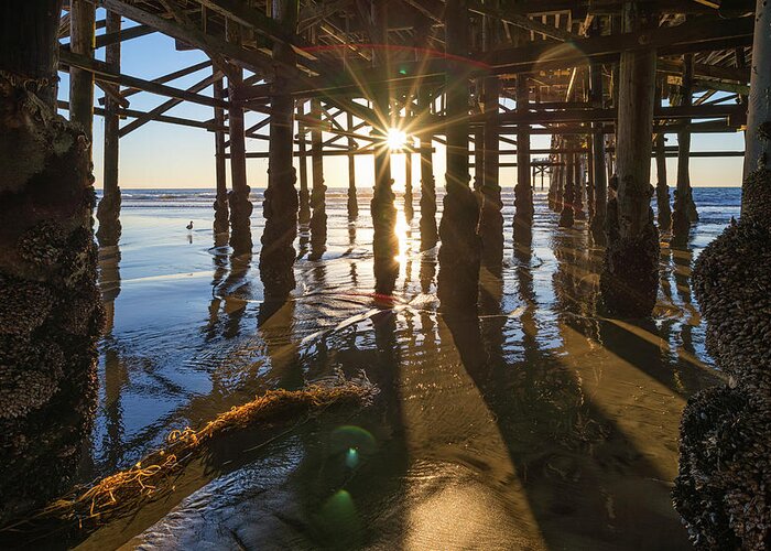 Beach Greeting Card featuring the photograph Hanging Out Under Crystal Pier by Joseph S Giacalone
