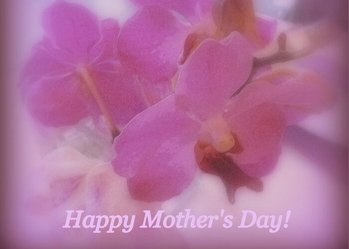 Orchids Greeting Card featuring the photograph Happy Mother's Day Orchids by Kay Novy