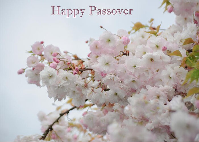 Passover Greeting Card featuring the photograph Happy Passover by Tikvah's Hope