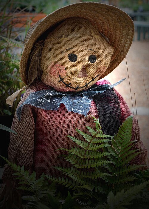 Fall Greeting Card featuring the photograph Happy Scarecrow by Karen Harrison Brown