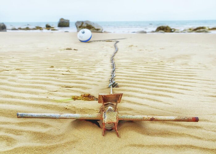 Harborview Beach Greeting Card featuring the photograph Harborview Beach Anchor by Marisa Geraghty Photography