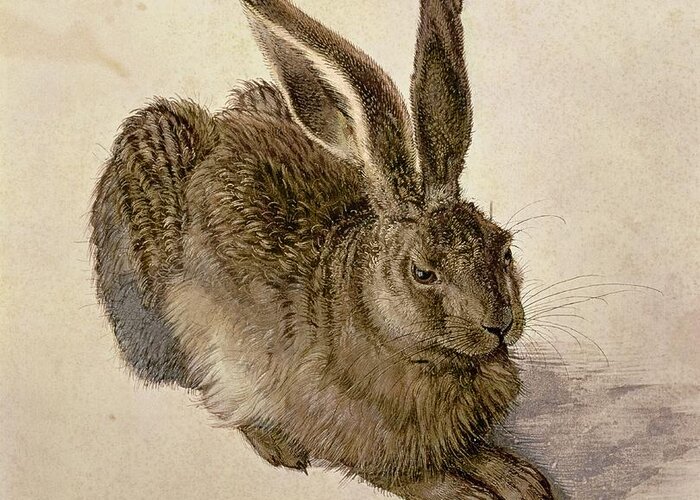Hare Greeting Card featuring the painting Hare by Albrecht Durer