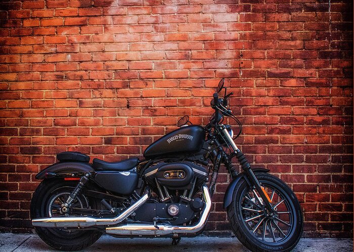 Harley Davidson Greeting Card featuring the photograph Harley 883 by GeeLeesa Productions