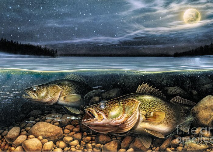 Walleye Greeting Card featuring the painting Harvest Moon Walleye 1 by JQ Licensing