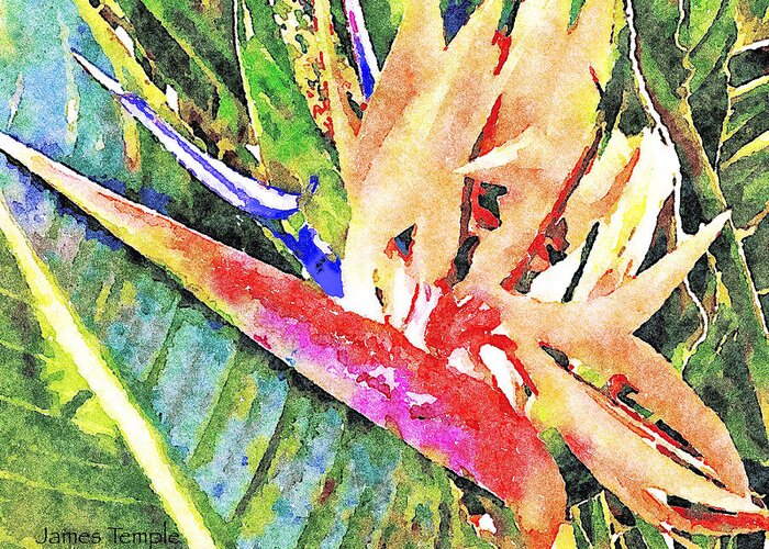 Bird Of Paradise Greeting Card featuring the digital art Hawaiian Bird of Paradise by James Temple