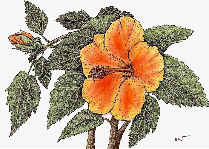 Hibiscus Greeting Card featuring the digital art Hawaiian Hibsiscus orange by Stephen Jorgensen