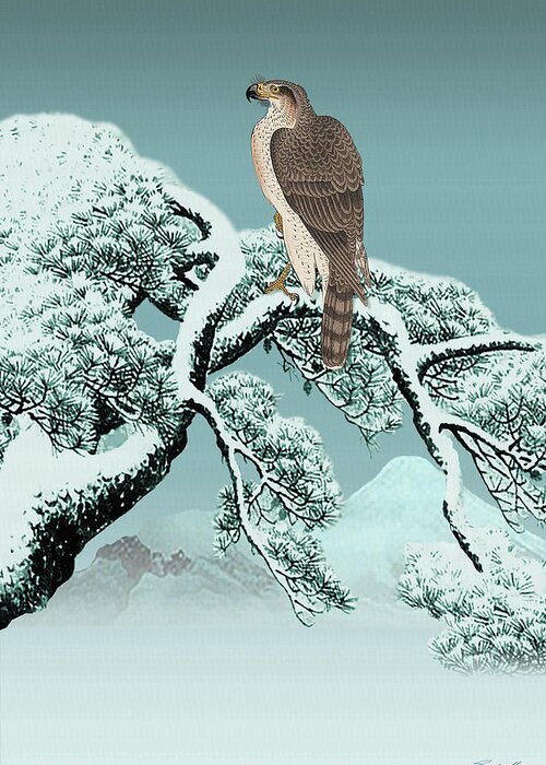 Hawk Greeting Card featuring the digital art Hawk on Snowy Pine by M Spadecaller