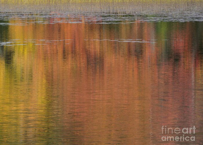 Waterscape Greeting Card featuring the photograph Hawkins Autumn Abstract 2015 by Lili Feinstein