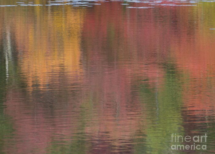 Waterscape Greeting Card featuring the photograph Hawkins Autumn Abstract II 2015 by Lili Feinstein