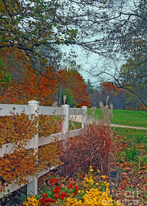 Hawthorn Hollow Greeting Card featuring the photograph Hawthorn Hollow Flowers and Grasses by Kay Novy