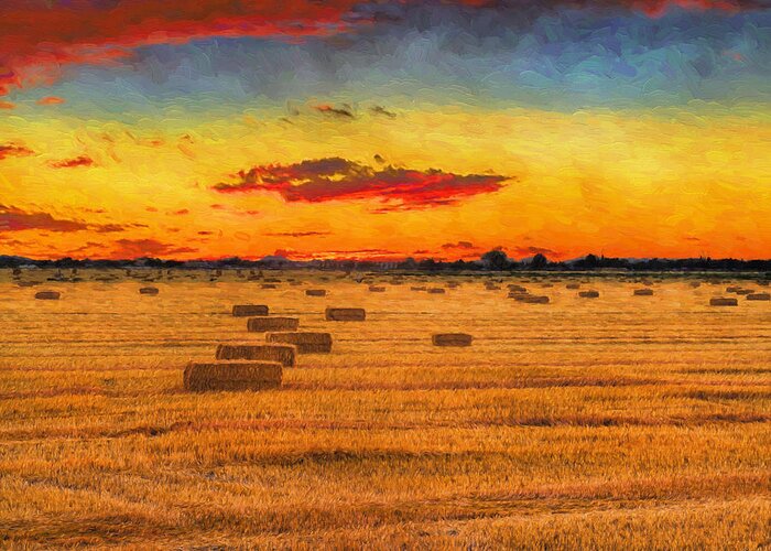 Hay Fields Greeting Card featuring the photograph Hay Fields by Greg Norrell