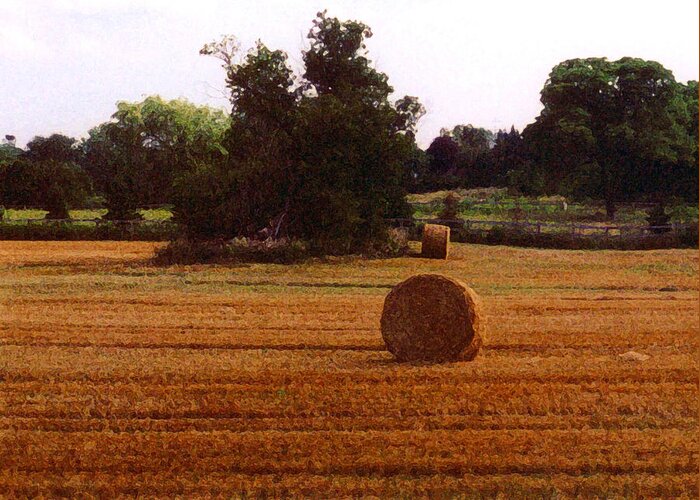 Landscape Greeting Card featuring the photograph Hay Rolls 2 DB 2 by Lyle Crump