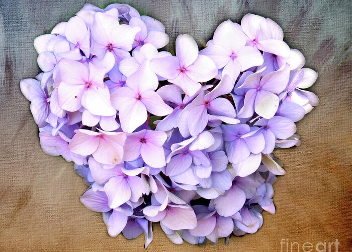 Hydrangea Greeting Card featuring the photograph Heart Hydrangea by Clare VanderVeen
