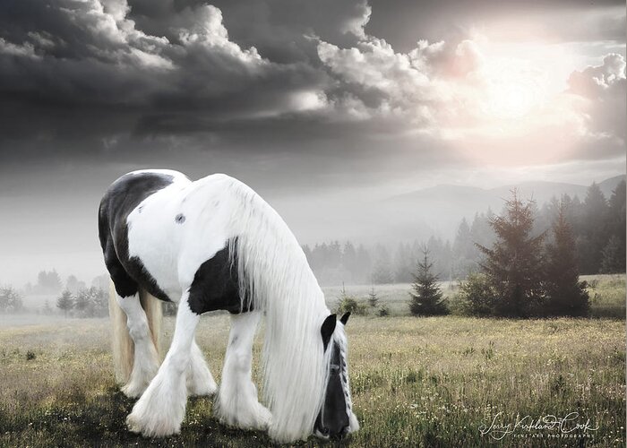 Horse Greeting Card featuring the photograph Heavenly Talia by Terry Kirkland Cook