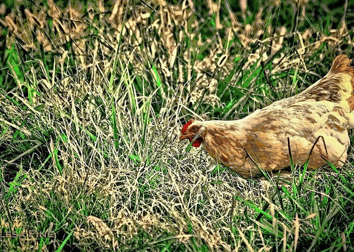 Chicken Greeting Card featuring the photograph Hen Art by Lesa Fine