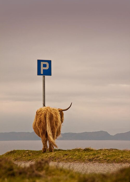 Whimsical Greeting Card featuring the photograph Her Favourite Pick-nick Spot In The Highlands by Dorit Fuhg