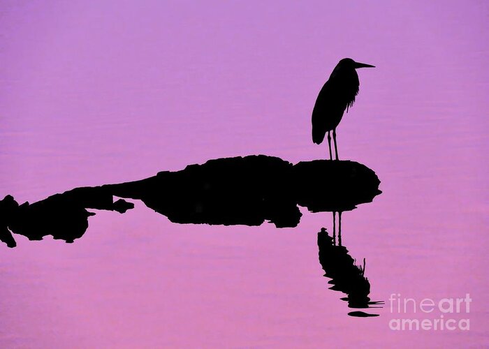 Heron Greeting Card featuring the photograph Heron Silhouette by Beth Myer Photography