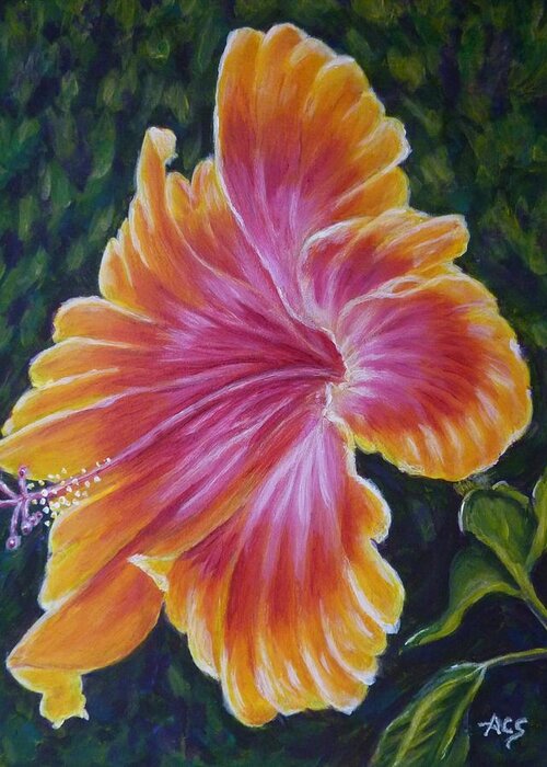 Hybiscus Greeting Card featuring the painting Hibiscus by Amelie Simmons