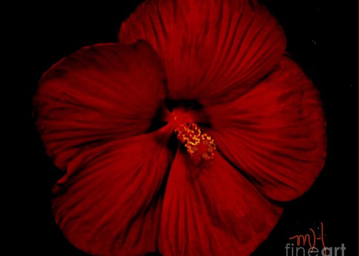 Photo Greeting Card featuring the photograph Hibiscus By Moonlight by Marsha Heiken