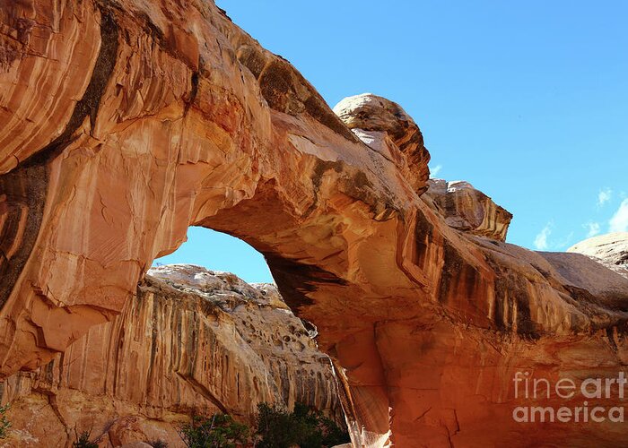 Hickman Bridge Greeting Card featuring the photograph Hickman Bridge Capitol Reef by Marty Fancy