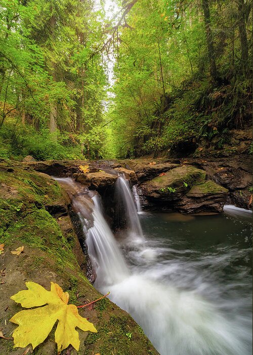 Hidden Falls Greeting Card featuring the photograph Hidden Falls at Rock Creek by David Gn