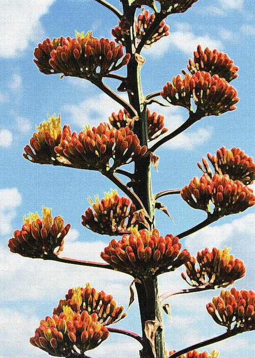 High Country Red Bud Agave Greeting Card featuring the photograph High Country Red Bud Agave by Tom Janca