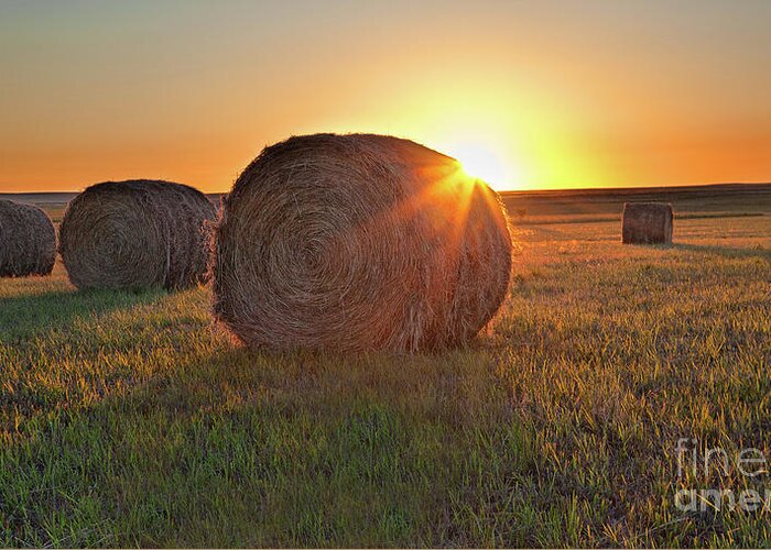Hay Greeting Card featuring the photograph High Plains Rollers by Jim Garrison