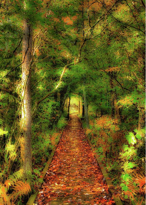 Autumn Greeting Card featuring the digital art Hiking in Paradise - West Virginia AP by Dan Carmichael