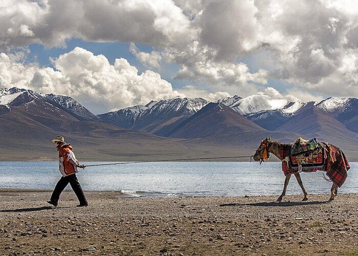Horse Greeting Card featuring the photograph His Horse, Tibet, 2007 by Hitendra SINKAR