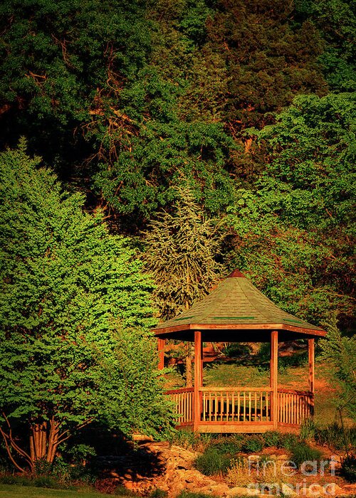 Tamyra Greeting Card featuring the photograph Honor Heights Gazebo in Vertical by Tamyra Ayles