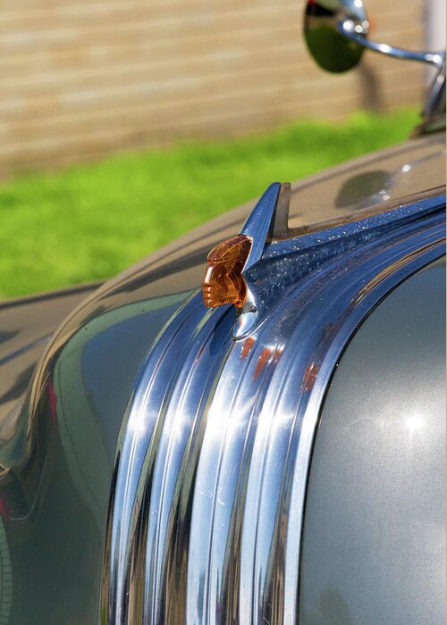 Hood Ornament Greeting Card featuring the photograph Hood Ornament by David Stasiak